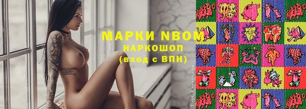 apvp Корсаков